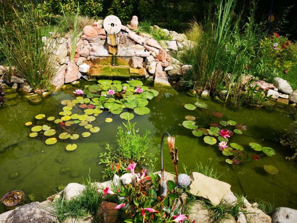 River Melody Bettona Ngoại thất bức ảnh